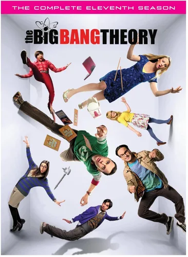 The Big Bang Theory Season 11 (DVD)