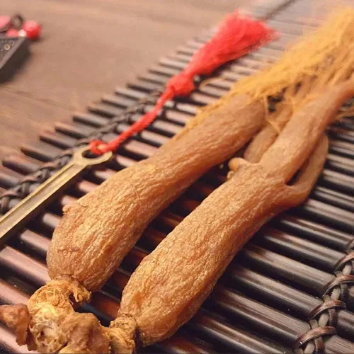 Vista 3 de Raíz de ginseng rojo, Ginseng rojo Corea, té de ginseng rojo coreano, raíz de ginseng rojo orgánico, raíz de ginseng rojo coreano, raíz de ginseng