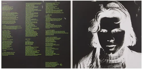 Vista 3 de Pink Moon